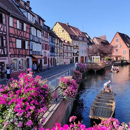 Lejlighed Au Bretzel Dore - Centre Historique Colmar